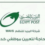 وظائف البريد المصري 2019