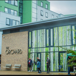 منح بكالوريوس ودراسات عليا