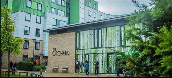 منح بكالوريوس ودراسات عليا