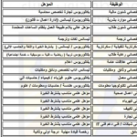 وظائف المشروعات القومية