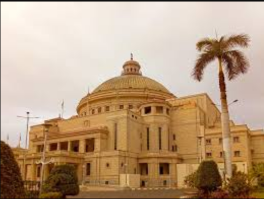 وظائف الجامعات المصرية