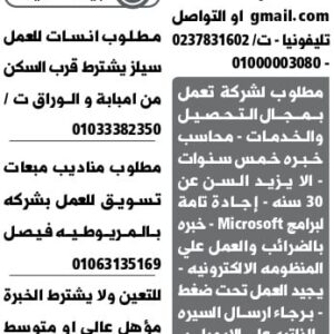 اعلان وظائف جريدة الوسيط الأسبوعية