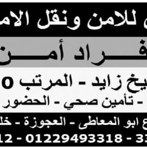 اعلان وظائف جريدة الوسيط الأسبوعية