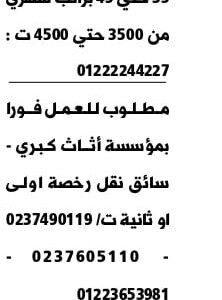 اعلان وظائف جريدة الوسيط الأسبوعية