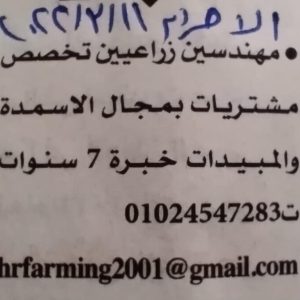 تعلن جريدة الأهرام الأسبوعيةعن وظائف