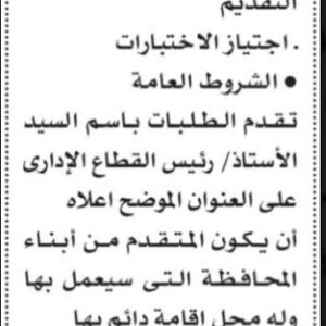 وظائف وزارة التموين لمختلف المؤهلات والمحافظات