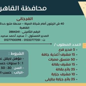 وظائف وزارة العمل لجميع المؤهلات وبدون مؤهل والمحافظات برواتب تصل إلي 15 الف جنية