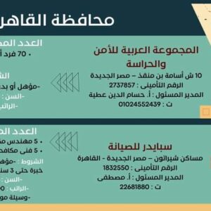 وظائف وزارة العمل لجميع المؤهلات وبدون مؤهل والمحافظات برواتب تصل إلي 15 الف جنية