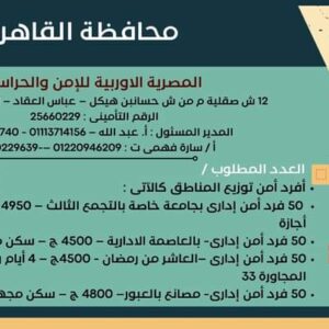 وظائف وزارة العمل لجميع المؤهلات وبدون مؤهل والمحافظات برواتب تصل إلي 15 الف جنية