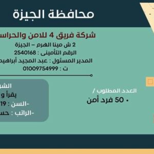 وظائف وزارة العمل لجميع المؤهلات وبدون مؤهل والمحافظات برواتب تصل إلي 15 الف جنية