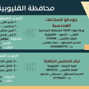 وظائف وزارة العمل لجميع المؤهلات وبدون مؤهل والمحافظات برواتب تصل إلي 15 الف جنية