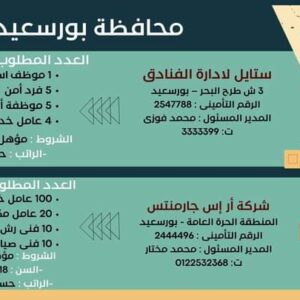 وظائف وزارة العمل لجميع المؤهلات وبدون مؤهل والمحافظات برواتب تصل إلي 15 الف جنية