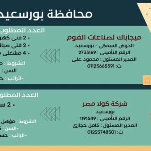 وظائف وزارة العمل لجميع المؤهلات وبدون مؤهل والمحافظات برواتب تصل إلي 15 الف جنية