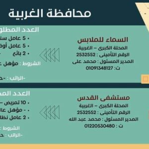 وظائف وزارة العمل لجميع المؤهلات وبدون مؤهل والمحافظات برواتب تصل إلي 15 الف جنية