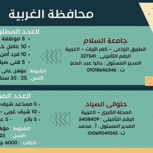 وظائف وزارة العمل لجميع المؤهلات وبدون مؤهل والمحافظات برواتب تصل إلي 15 الف جنية