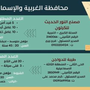 وظائف وزارة العمل لجميع المؤهلات وبدون مؤهل والمحافظات برواتب تصل إلي 15 الف جنية