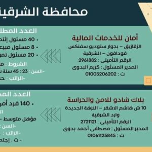 وظائف وزارة العمل لجميع المؤهلات وبدون مؤهل والمحافظات برواتب تصل إلي 15 الف جنية