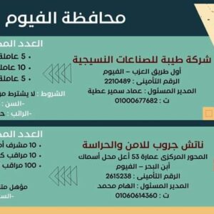 وظائف وزارة العمل لجميع المؤهلات وبدون مؤهل والمحافظات برواتب تصل إلي 15 الف جنية