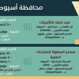 وظائف وزارة العمل لجميع المؤهلات وبدون مؤهل والمحافظات برواتب تصل إلي 15 الف جنية