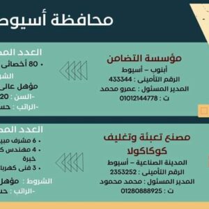 وظائف وزارة العمل لجميع المؤهلات وبدون مؤهل والمحافظات برواتب تصل إلي 15 الف جنية