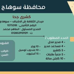 وظائف وزارة العمل لجميع المؤهلات وبدون مؤهل والمحافظات برواتب تصل إلي 15 الف جنية