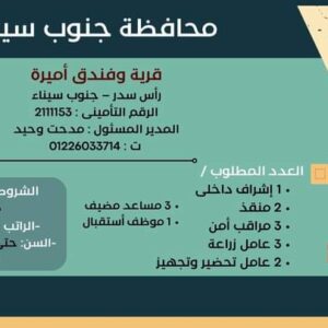 وظائف وزارة العمل لجميع المؤهلات وبدون مؤهل والمحافظات برواتب تصل إلي 15 الف جنية