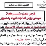 وظائف جهاز رعاية الشباب بشركة هيلثي للمؤهلات العليا والدبلومات براتب 9000 الف جنية 