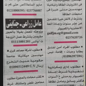 وظائف جريدة الأهرام للمؤهلات العليا والدبلومات وعمال وحرفيين وسائقين وفنيين وسكرتارية ومندوبين 