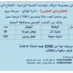 اعلان مجموعة شركات ايجاست للتنمية الزراعية عن 150 فرصة عمل للمؤهلات المتوسطة وبدون مؤهل براتب 5700 جنية 