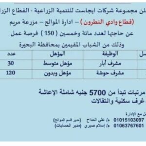 اعلان مجموعة شركات ايجاست للتنمية الزراعية عن 150 فرصة عمل للمؤهلات المتوسطة وبدون مؤهل براتب 5700 جنية 