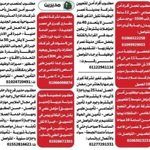 وظائف جريدة الوسيط للمؤهلات العليا والدبلومات