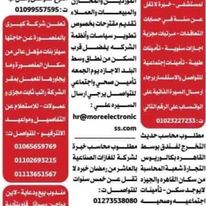 وظائف جريدة الوسيط للمؤهلات العليا والدبلومات