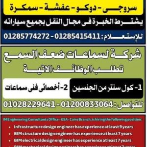 وظائف جريدة الوسيط للمؤهلات العليا والدبلومات