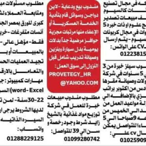 وظائف جريدة الوسيط للمؤهلات العليا والدبلومات