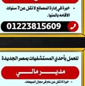 وظائف جريدة الوسيط للمؤهلات العليا والدبلومات