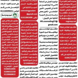 وظائف جريدة الوسيط للمؤهلات العليا والدبلومات