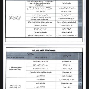 وظائف شركات جهاز مشروعات الخدمة الوطنية (عمال ومحاسبين وفنيين وسائقين ومهندسين وأخصائين)