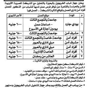 فرص عمل بالشركة المصرية الأوربية للأمن والحراسة براتب 6800 جنية 