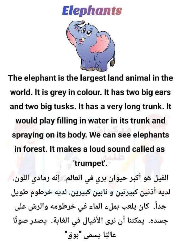 تحميل أفضل روايات ثنائية اللغة إنجليزي عربي