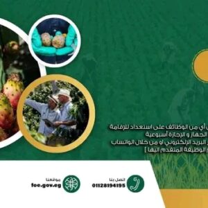 وظائف جهاز مستقبل مصر للتنمية