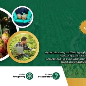 وظائف جهاز مستقبل مصر للتنمية