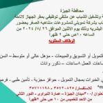 وظائف حكومية جهاز رعاية وتشغيل الشباب للمؤهلات العليا والدبلومات 