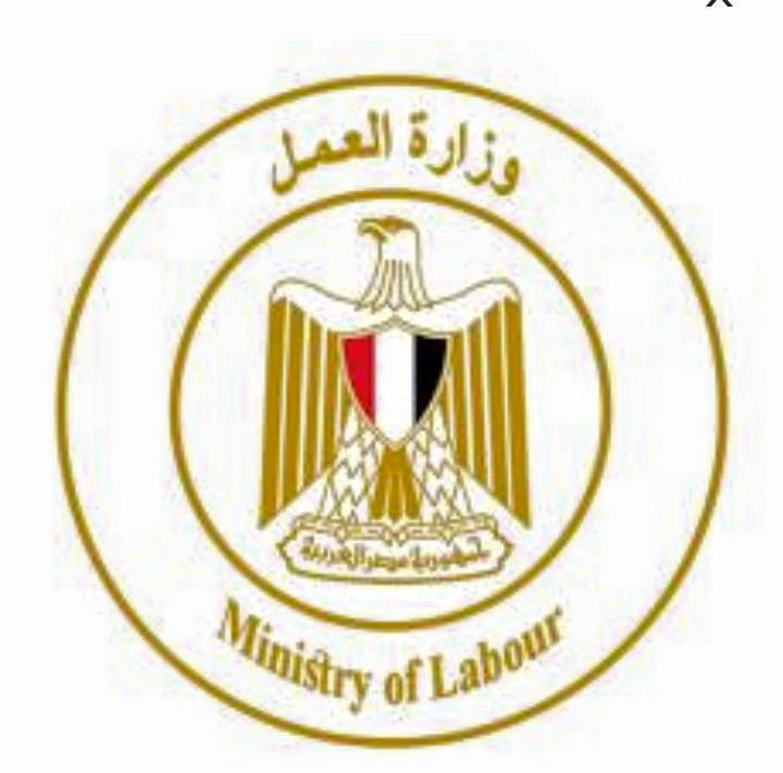 اعلن وزير العمل عن 400 فرص عمل فنيين وعمال انتاج وعمال نظافة ومهندسين الراتب 7 الف العمل 8 ساعات 