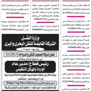 وظائف جريدة الأهرام في جميع المحافظات للذكور والإناث (تفاصيل)