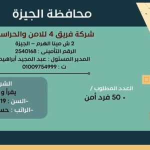 وظائف حكومية وزارة العمل تعلن عن 2569 فُرصة عمل في 69 شركة خاصة تنتظر شباب 15 مُحافظة 