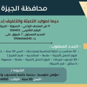 وظائف حكومية وزارة العمل تعلن عن 2569 فُرصة عمل في 69 شركة خاصة تنتظر شباب 15 مُحافظة 