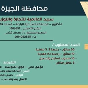 وظائف حكومية وزارة العمل تعلن عن