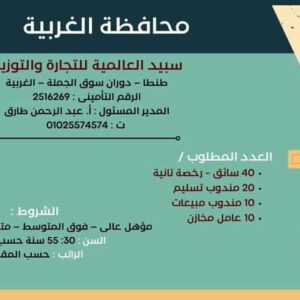 وظائف حكومية وزارة العمل تعلن عن 2569 فُرصة عمل في 69 شركة خاصة تنتظر شباب 15 مُحافظة 