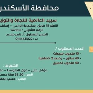 وظائف حكومية وزارة العمل تعلن عن