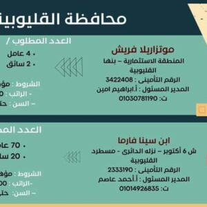 وظائف حكومية وزارة العمل تعلن عن 2569 فُرصة عمل في 69 شركة خاصة تنتظر شباب 15 مُحافظة 